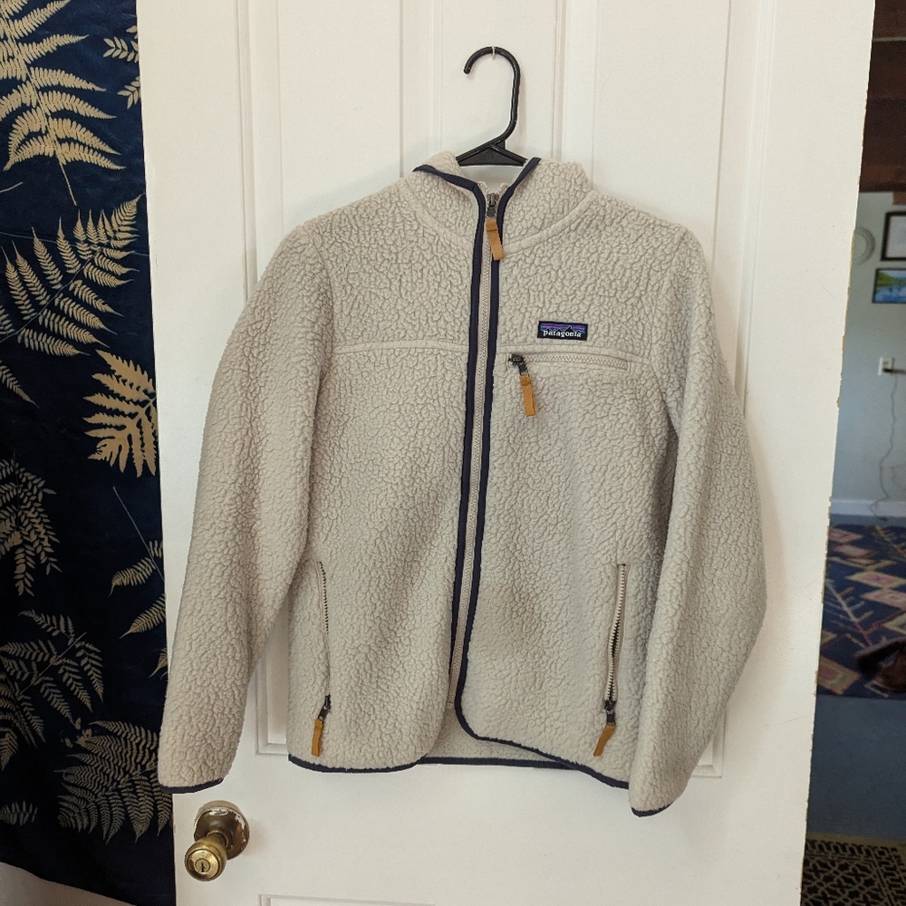 Patagonia Retro Pile hoody
